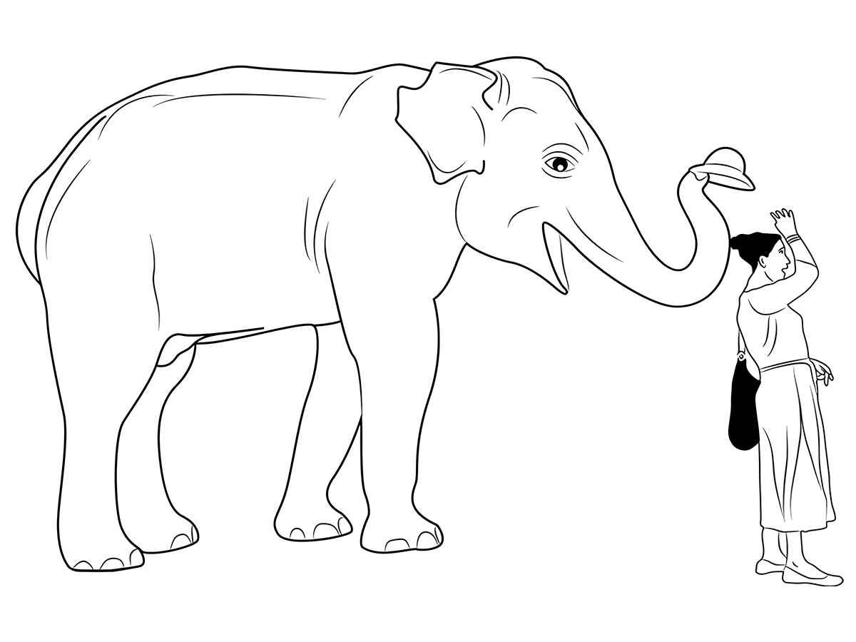 Elephant coloring page to paint number 3