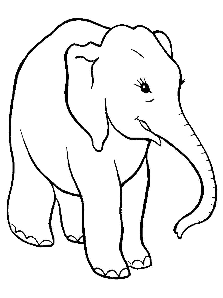 Elephant coloring page ready to print number 3