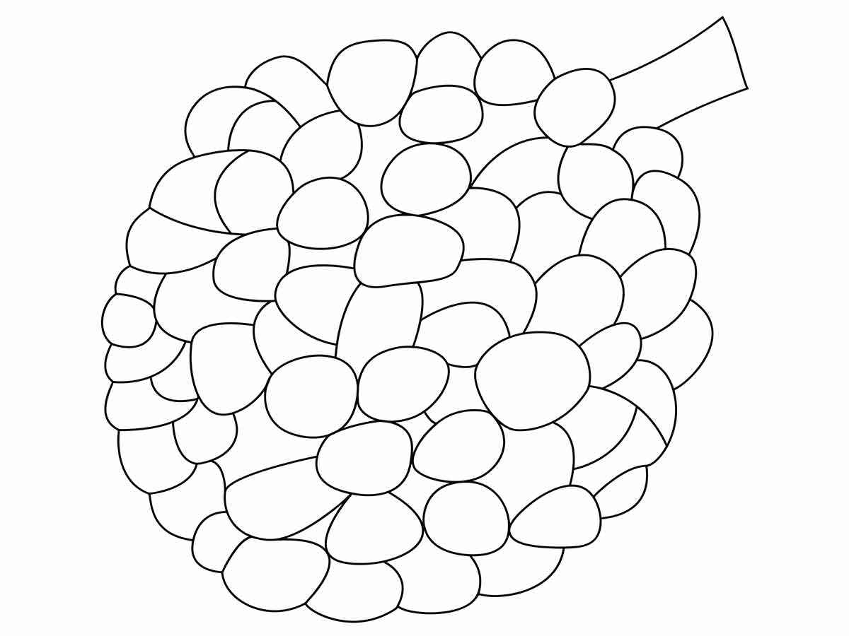 fruit coloring page 15