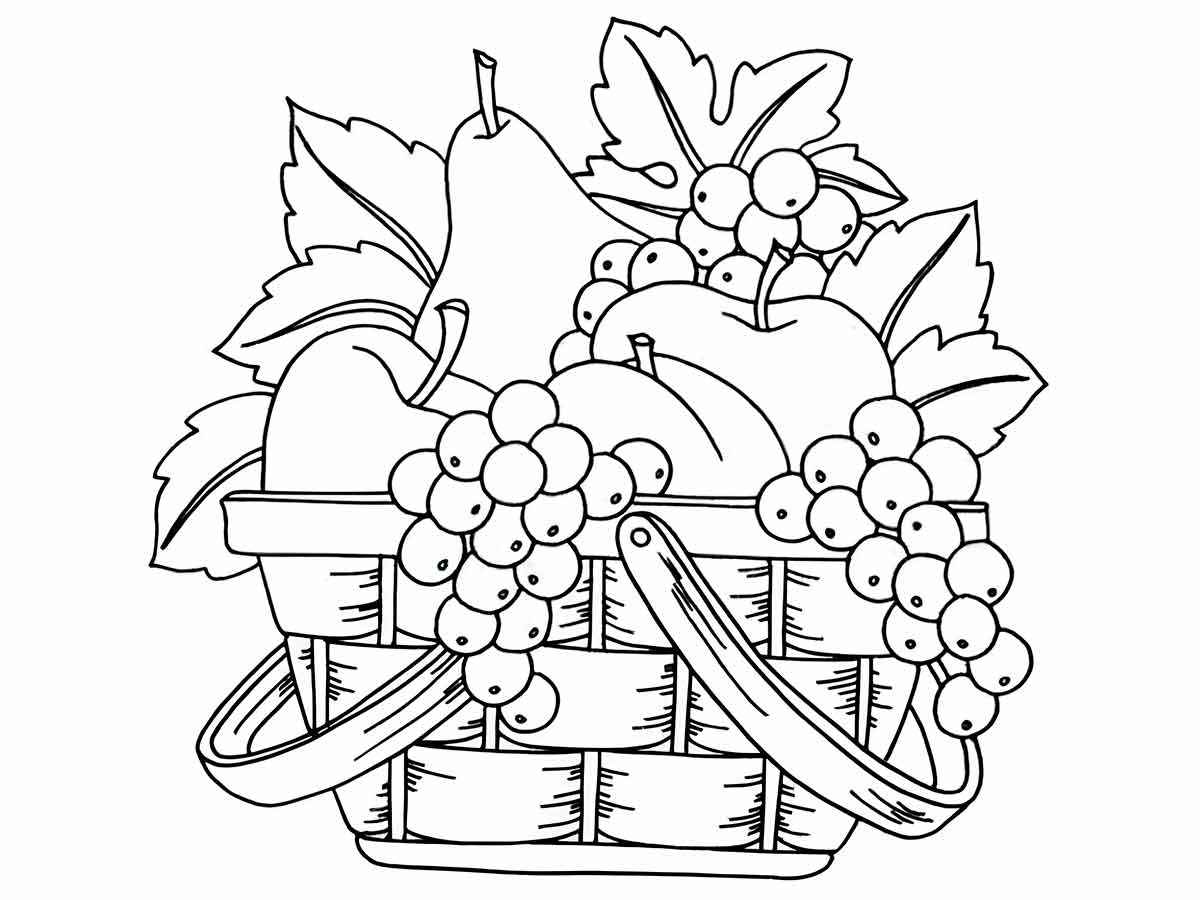 fruit basket 6 coloring page