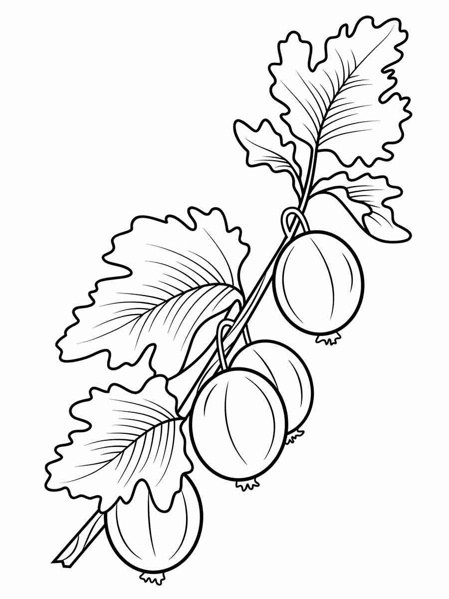 fruit coloring page