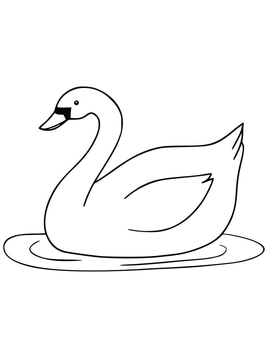 Coloring page of a goose for kids