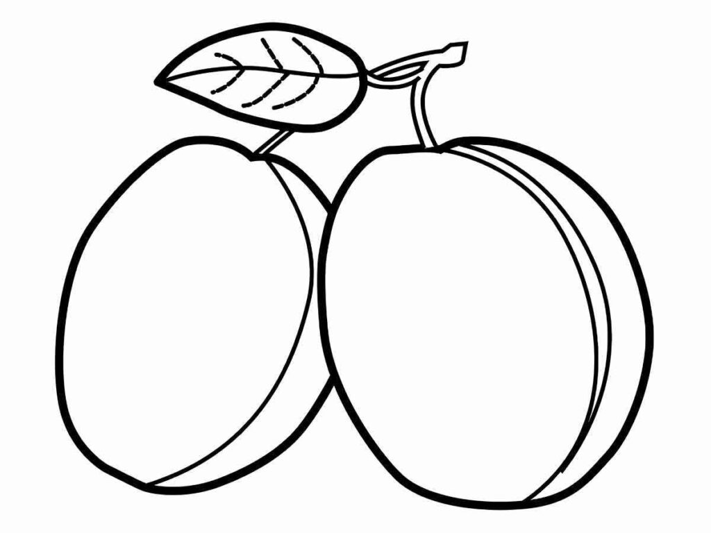 gooseberry coloring page