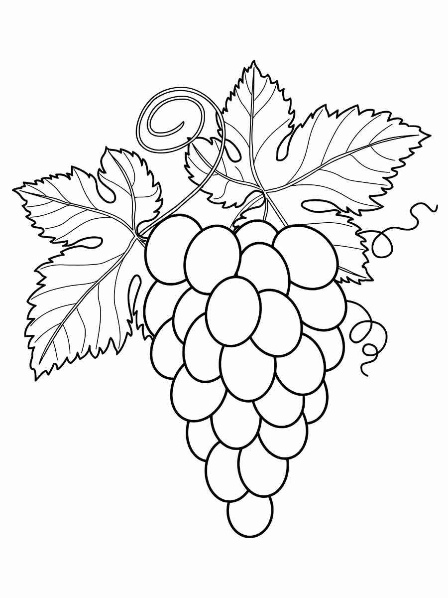 grapes coloring page