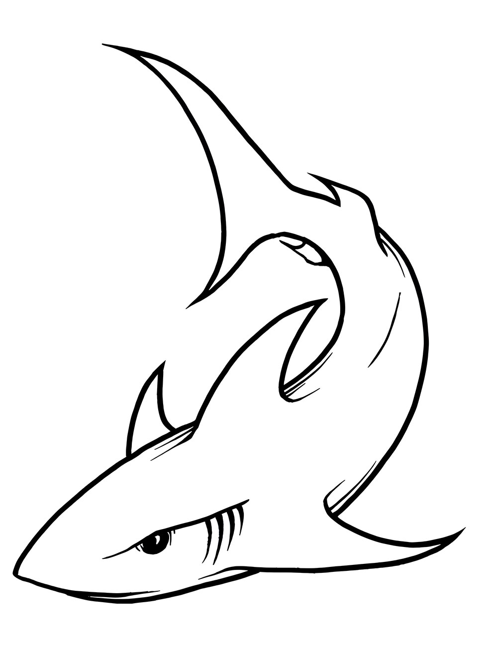 Coloring page of a great white shark.