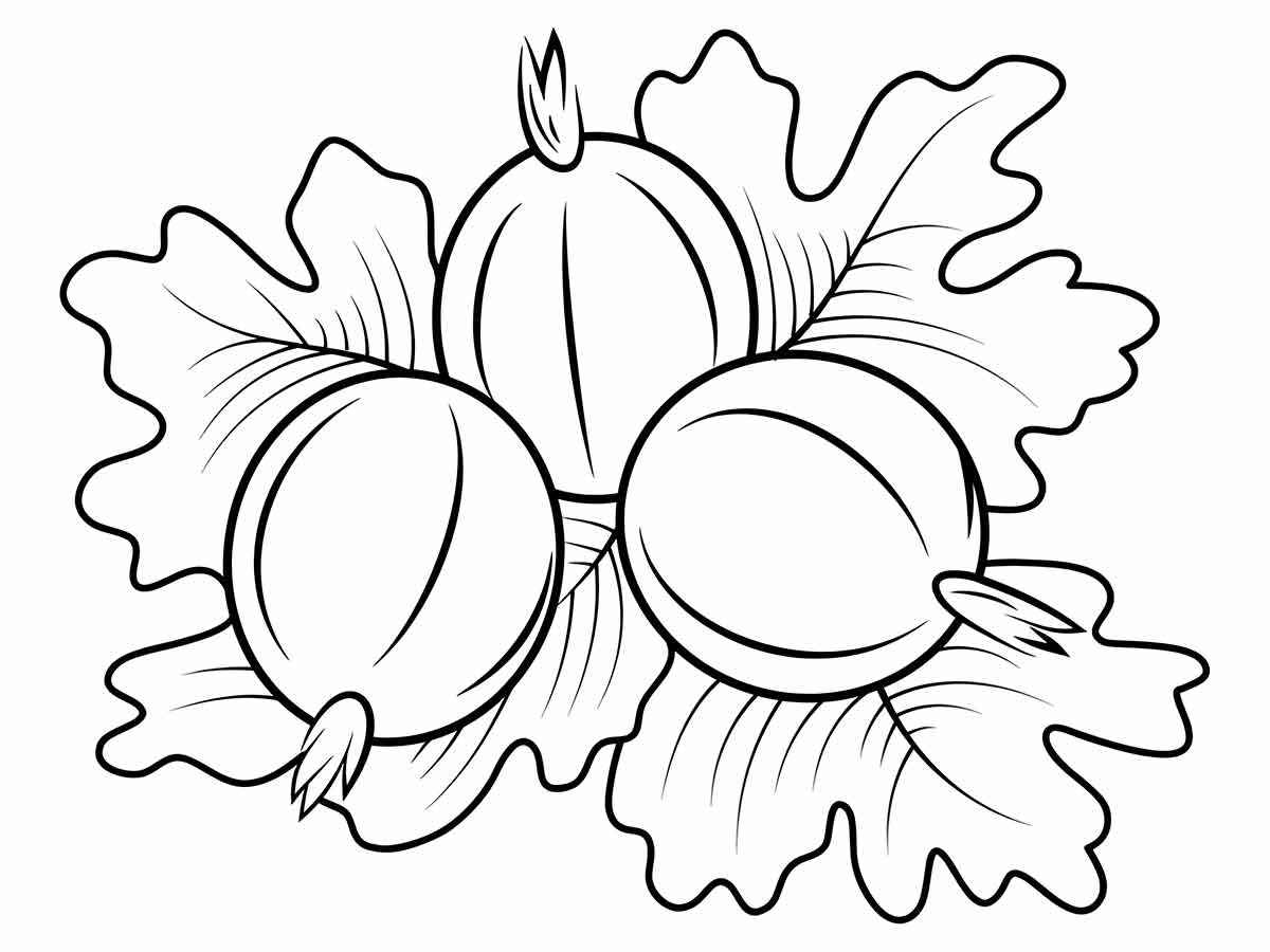 guava coloring page