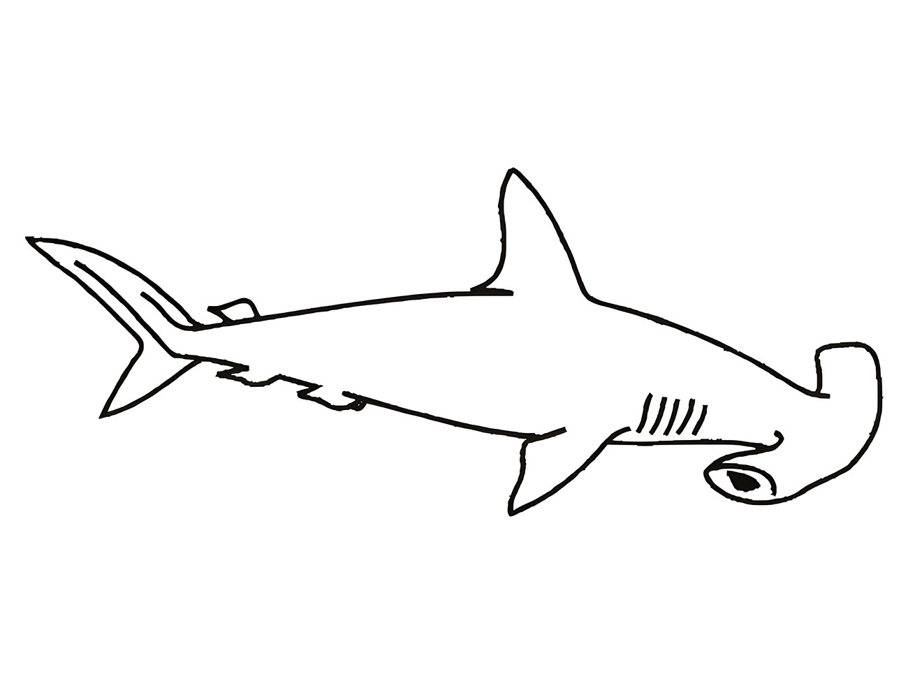 Easy coloring page of a hammerhead shark.