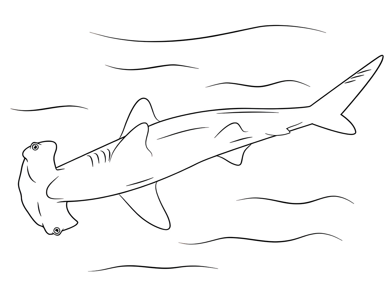 Coloring page of a hammerhead shark.