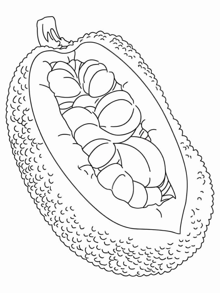 jackfruit coloring page