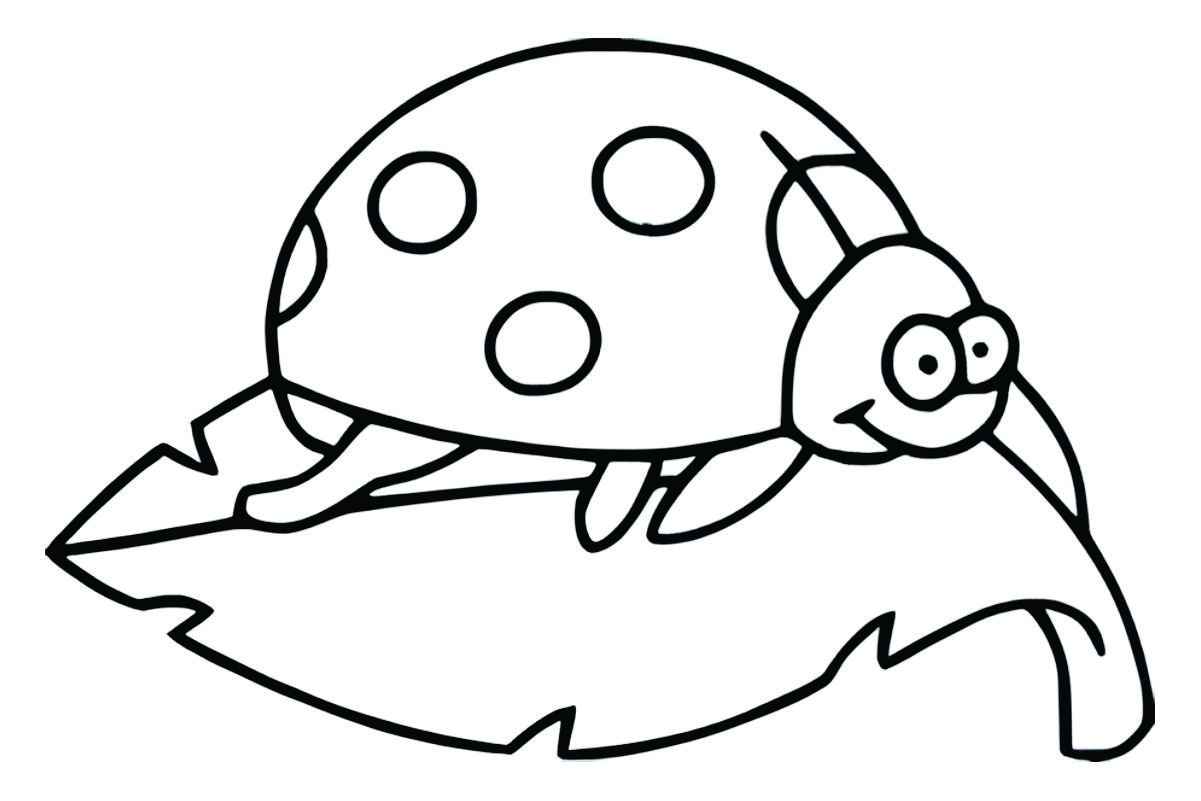 Ladybug coloring page, number 32.