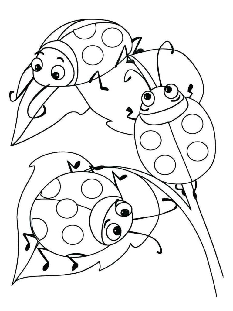 Ladybug coloring pages