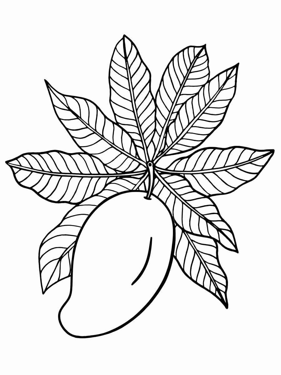 mango coloring page 3