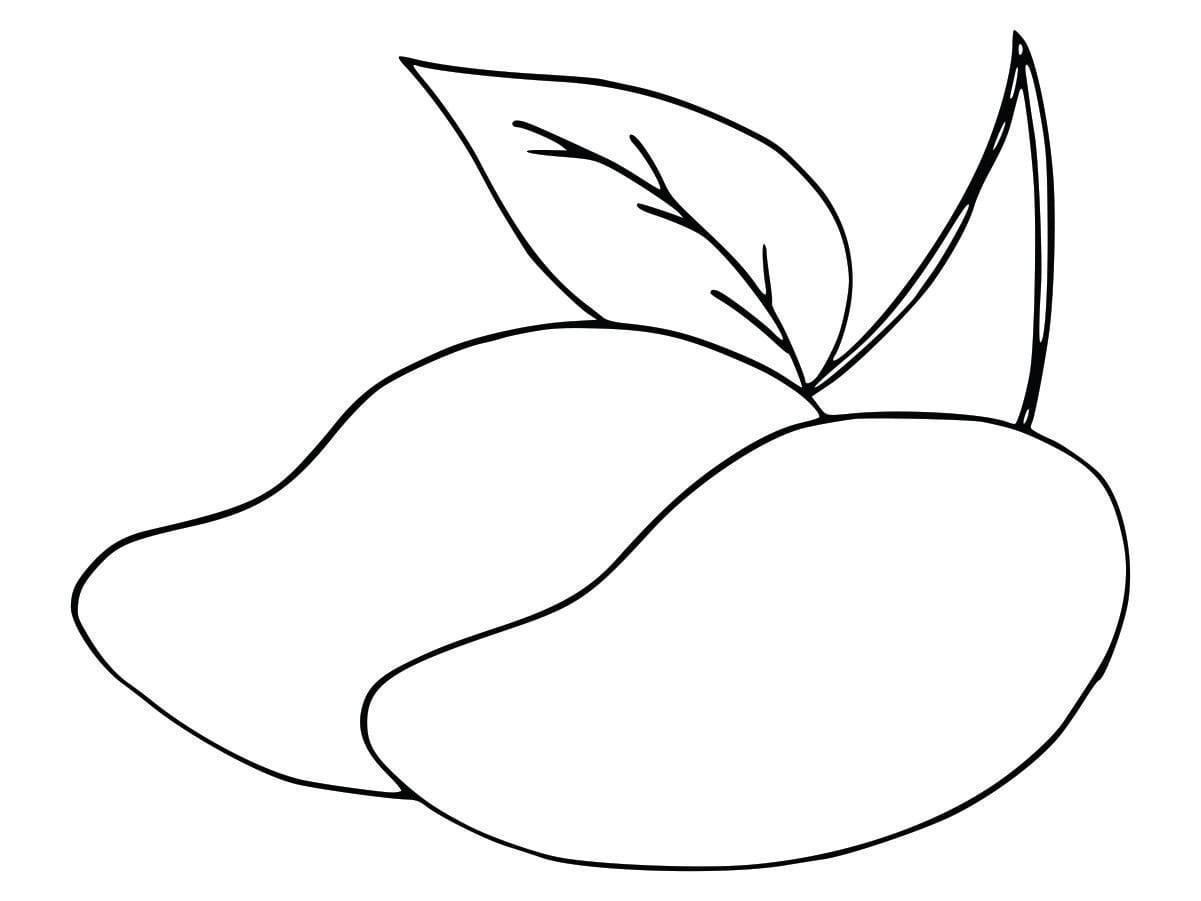 Coloring page of a mango for kids