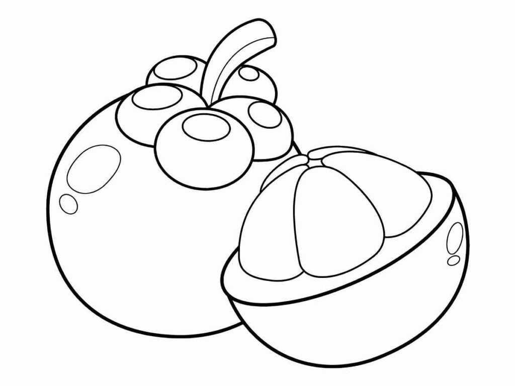 mangosteen coloring page