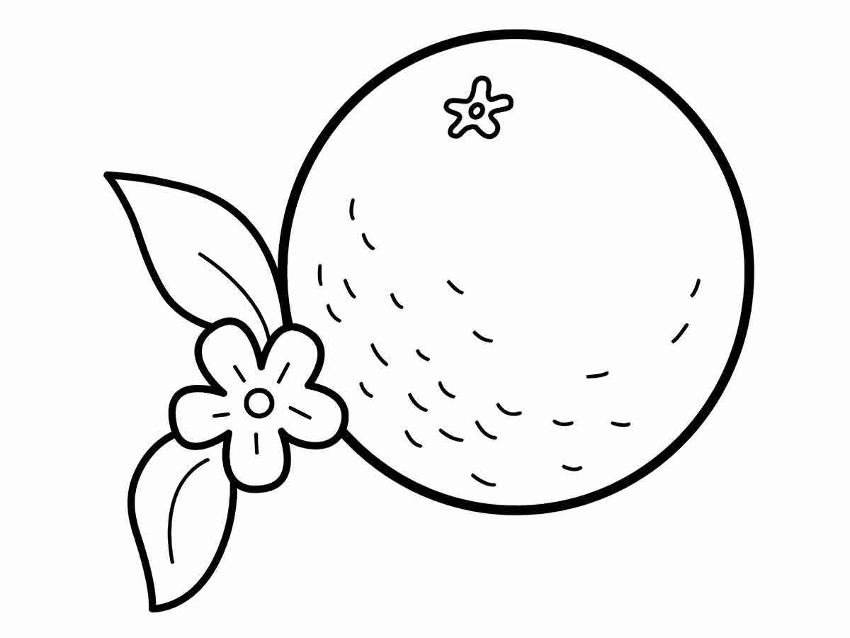 orange coloring page