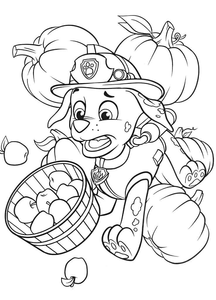 Paw Patrol coloring page number 33