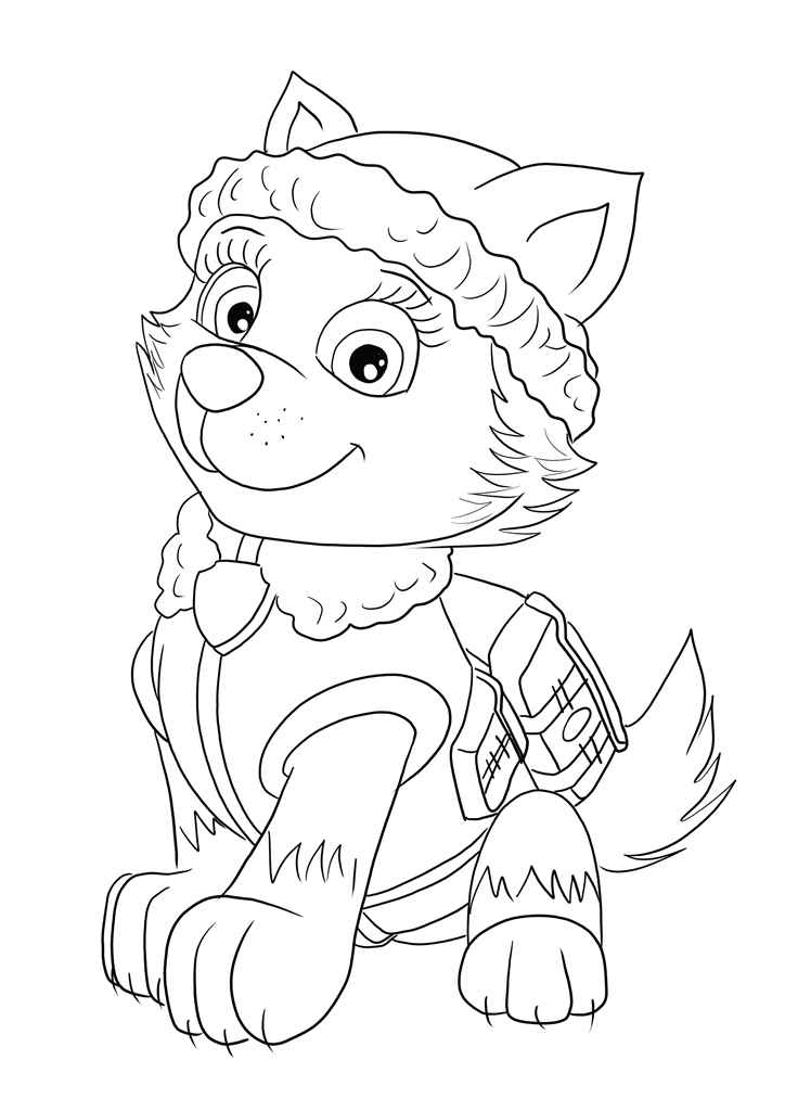 Paw Patrol coloring page number 52