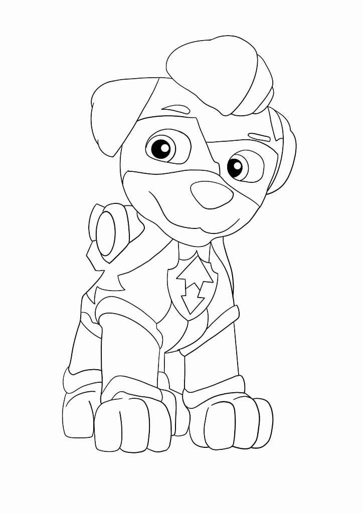 Paw Patrol coloring page number 68