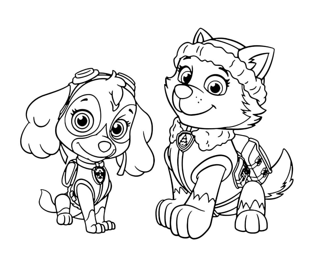 Paw Patrol coloring page featuring Everest and Skye