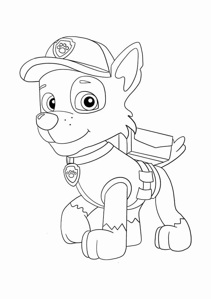 Paw Patrol coloring page of Rocky number 46