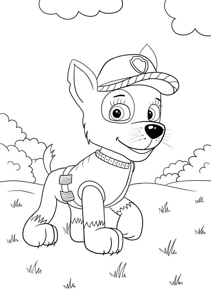 Paw Patrol coloring page of Rocky number 50