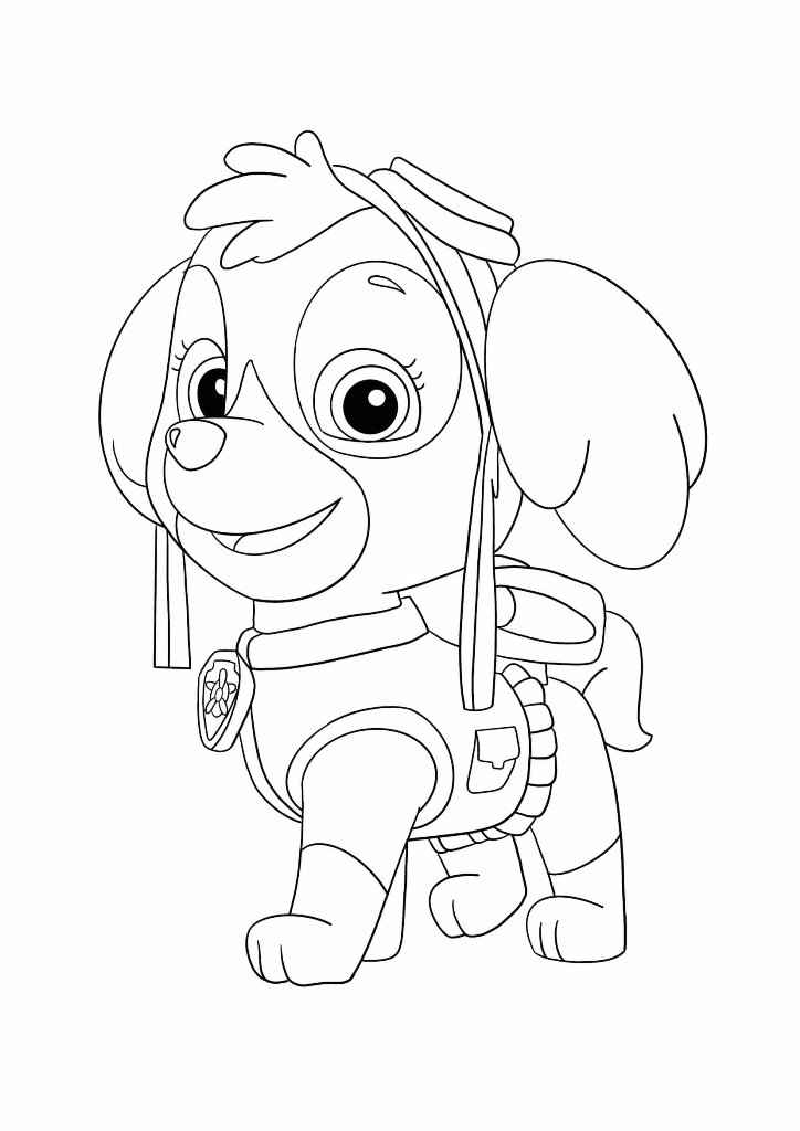 Paw Patrol coloring page of Skye number 21