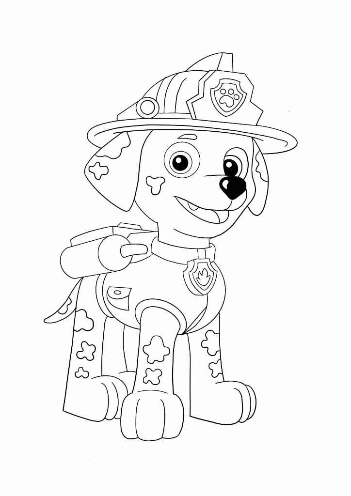 Paw Patrol coloring page featuring Zuma in a water rescue