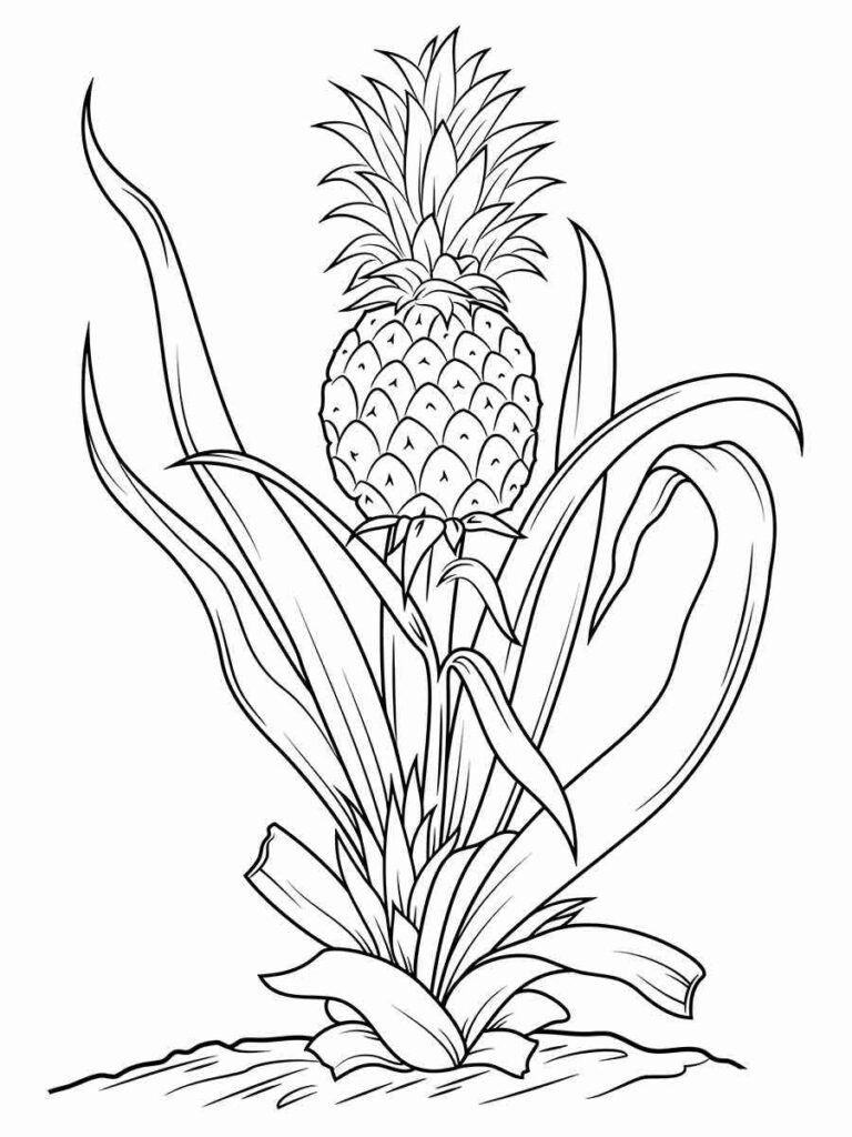 pineapple coloring page 4