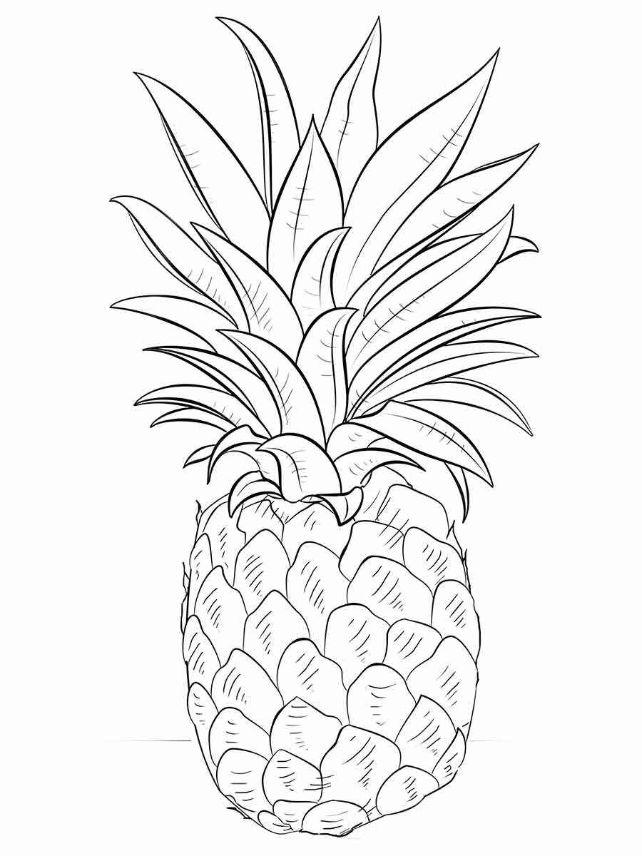 pineapple coloring page 5