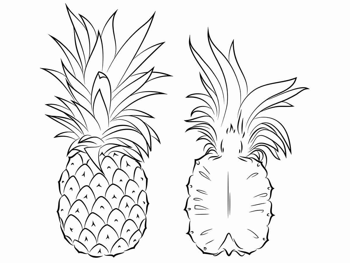 pineapple mix coloring page