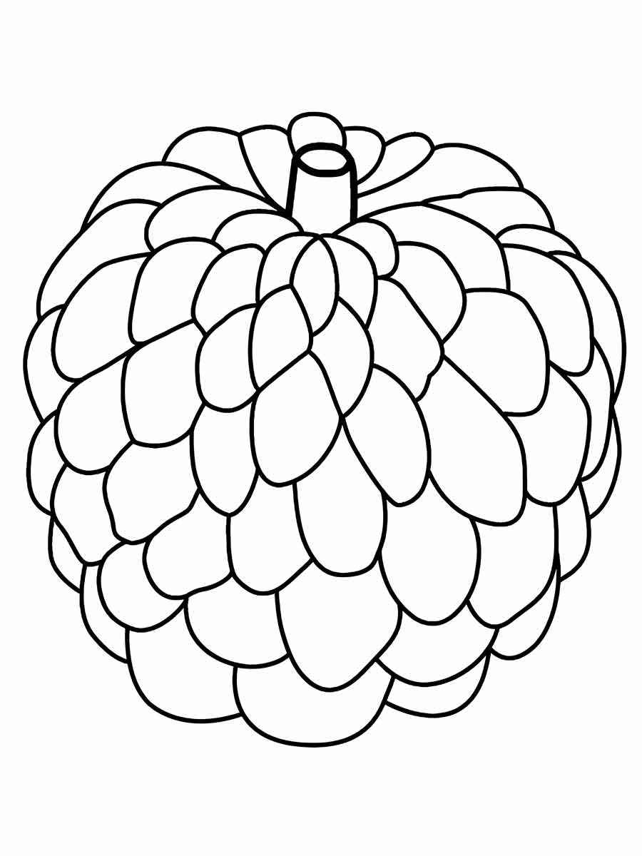 pinecone coloring page