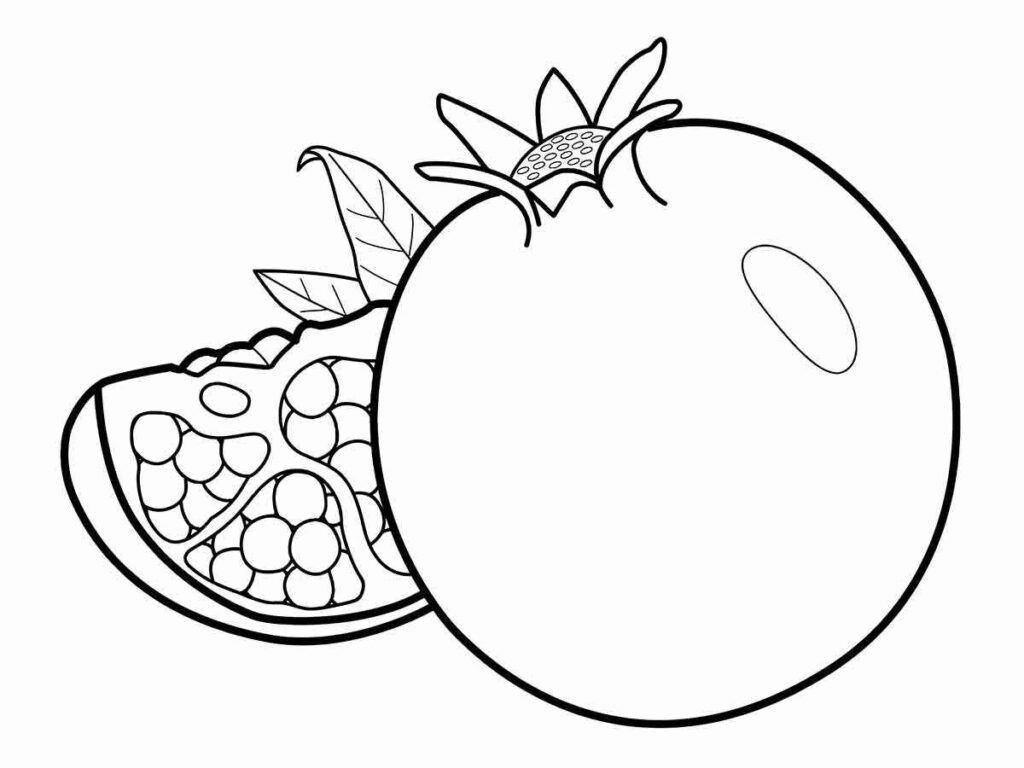 pomegranate coloring page 2