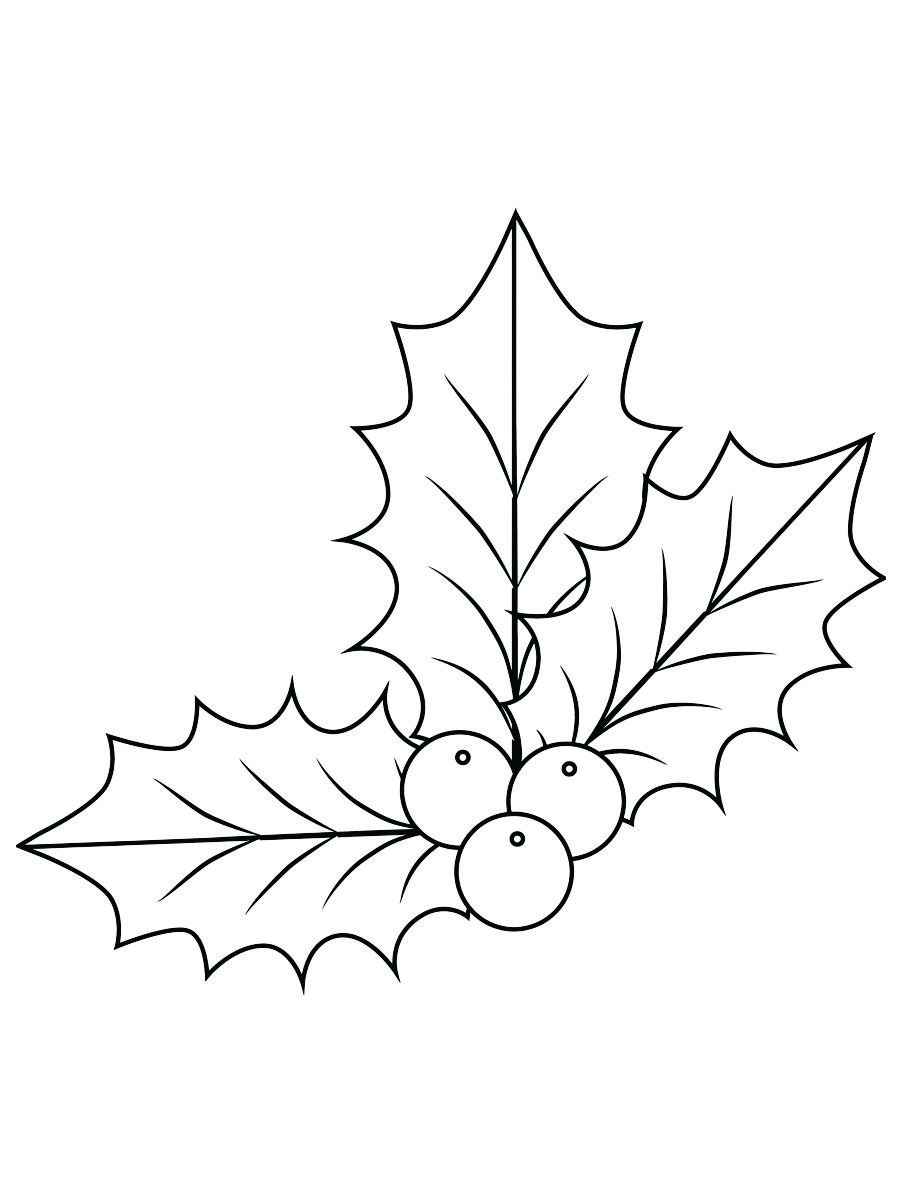 Leaves and fruits coloring page.