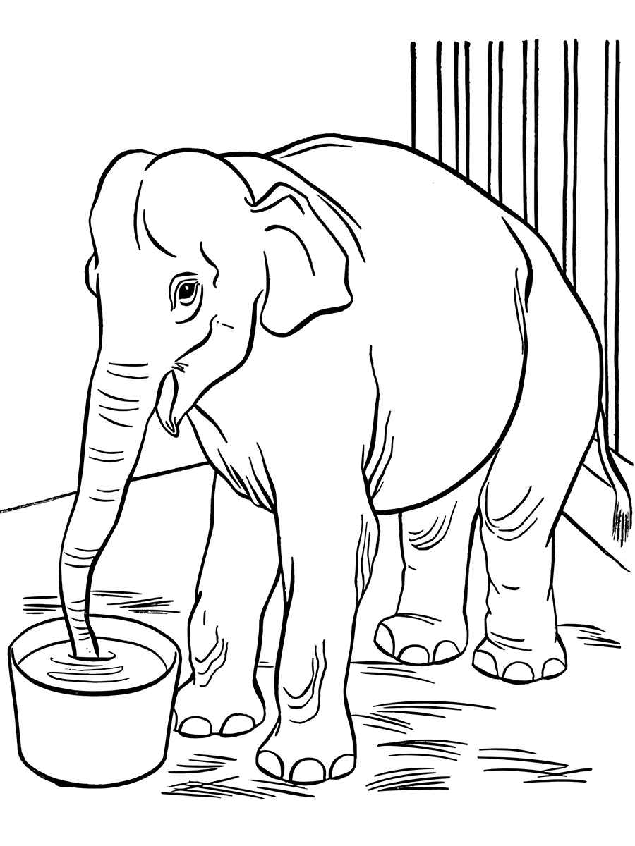 Printable elephant coloring page number 63