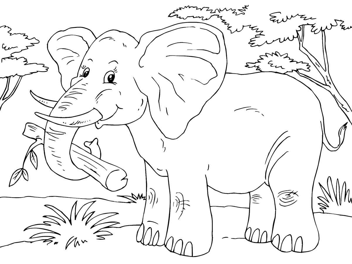 Printable elephant coloring page number 84