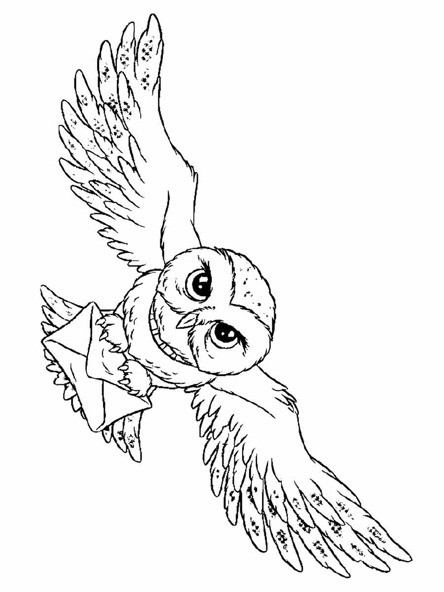 Harry Potter owl coloring page