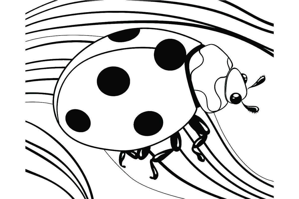 Printable ladybug coloring page, number 48.