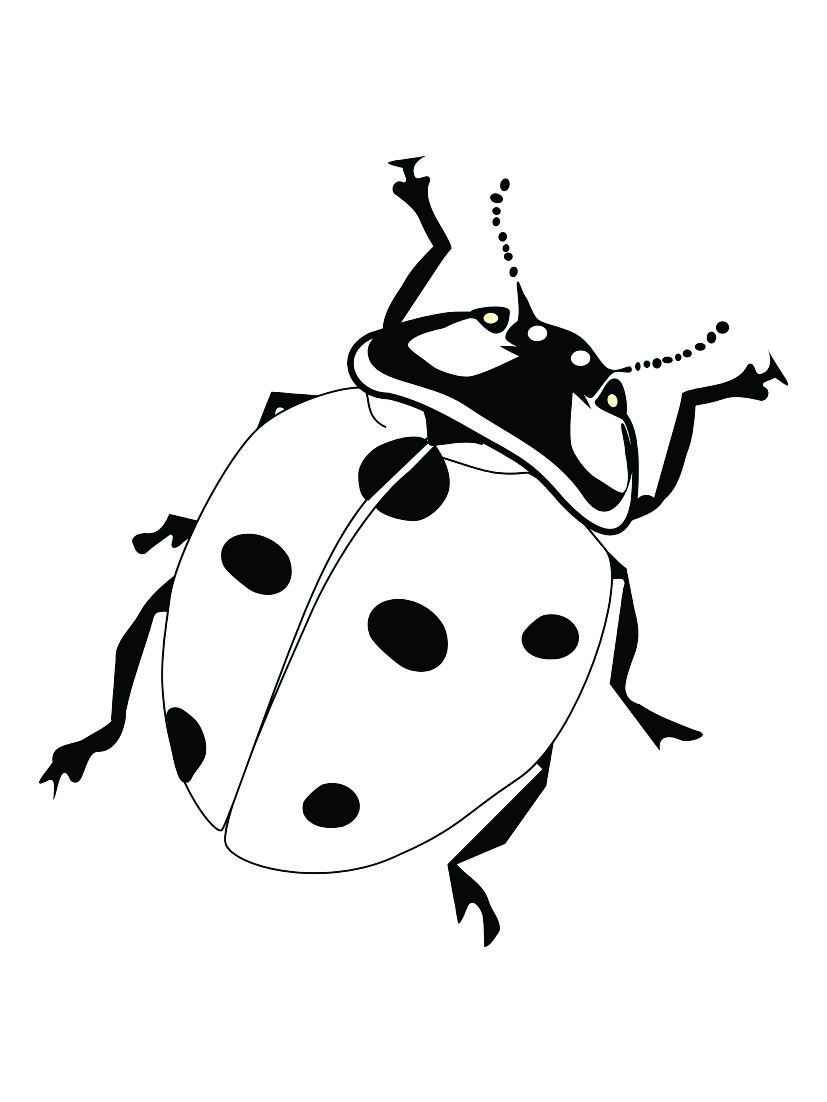 Printable ladybug coloring page, number 50.