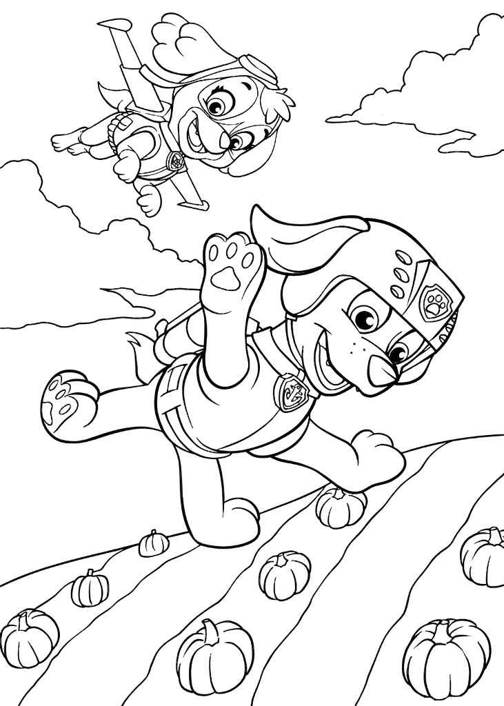 Printable Paw Patrol coloring page of Skye and Zuma