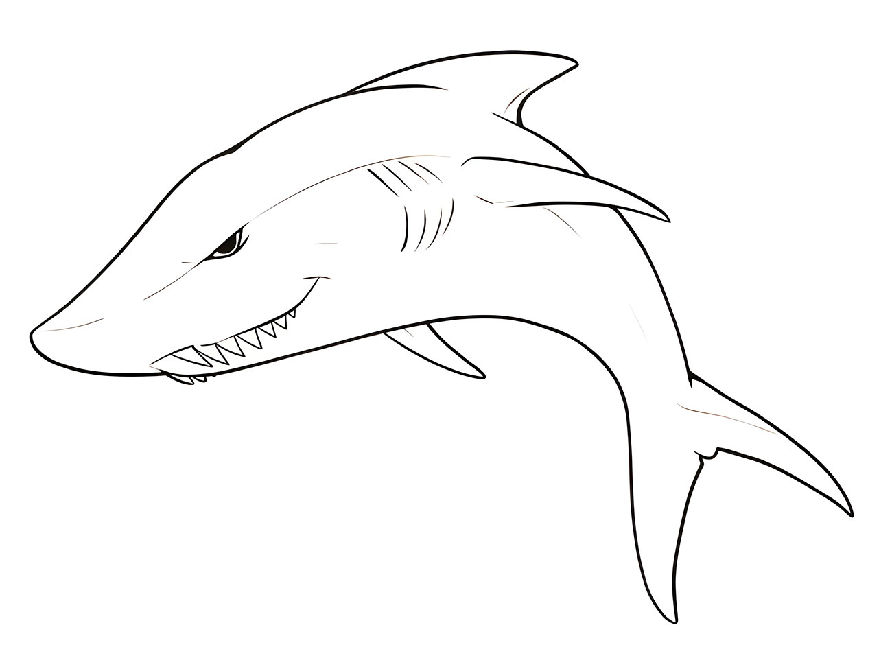 Printable coloring page of a shark.