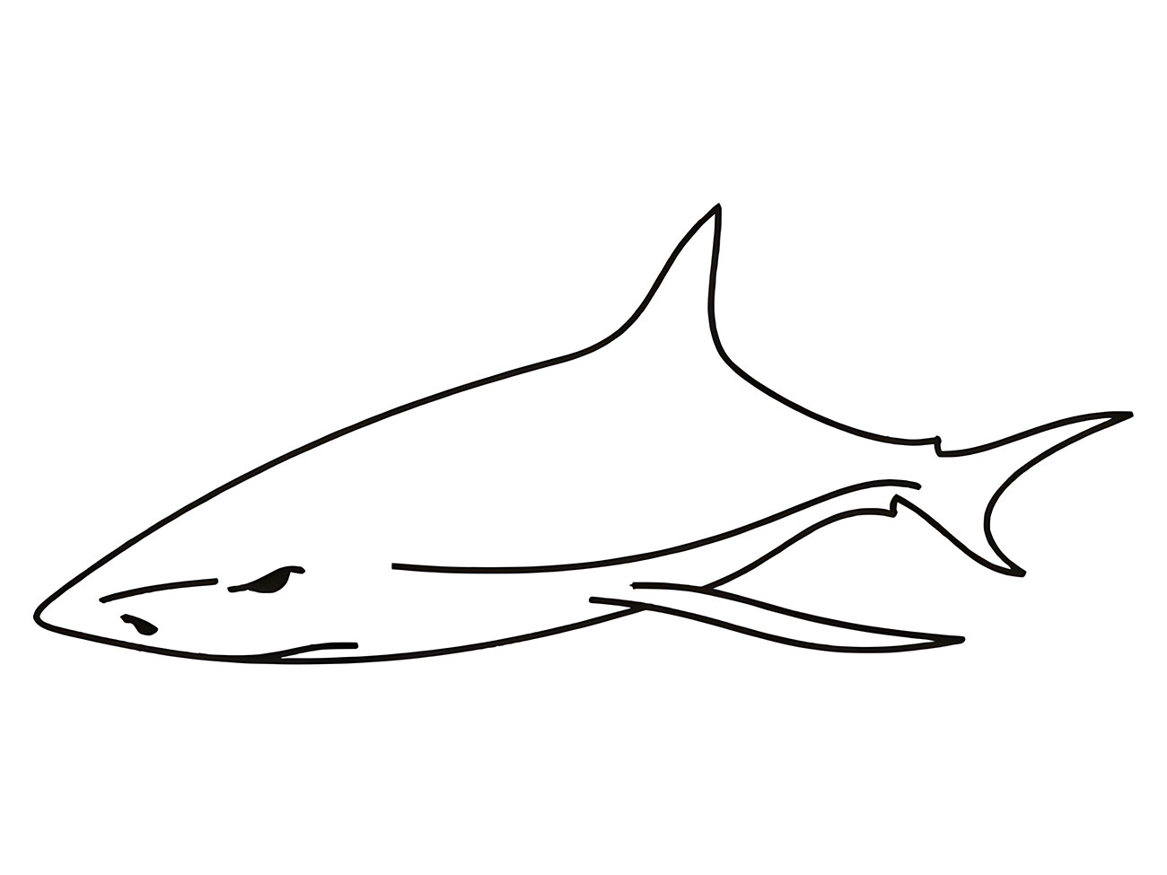 Coloring Page of a Shark