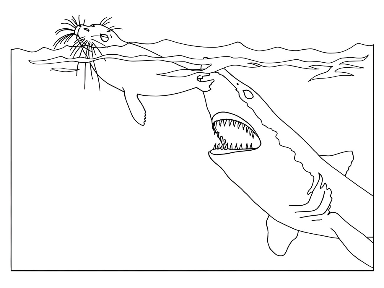 Shark Chasing a Seal Coloring Page