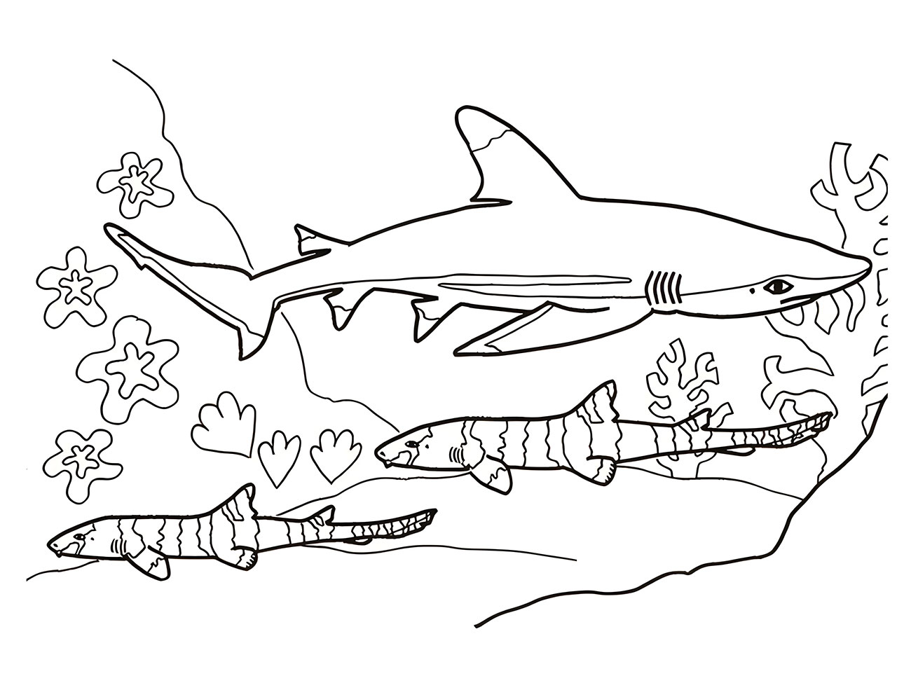 Printable coloring page of multiple sharks.