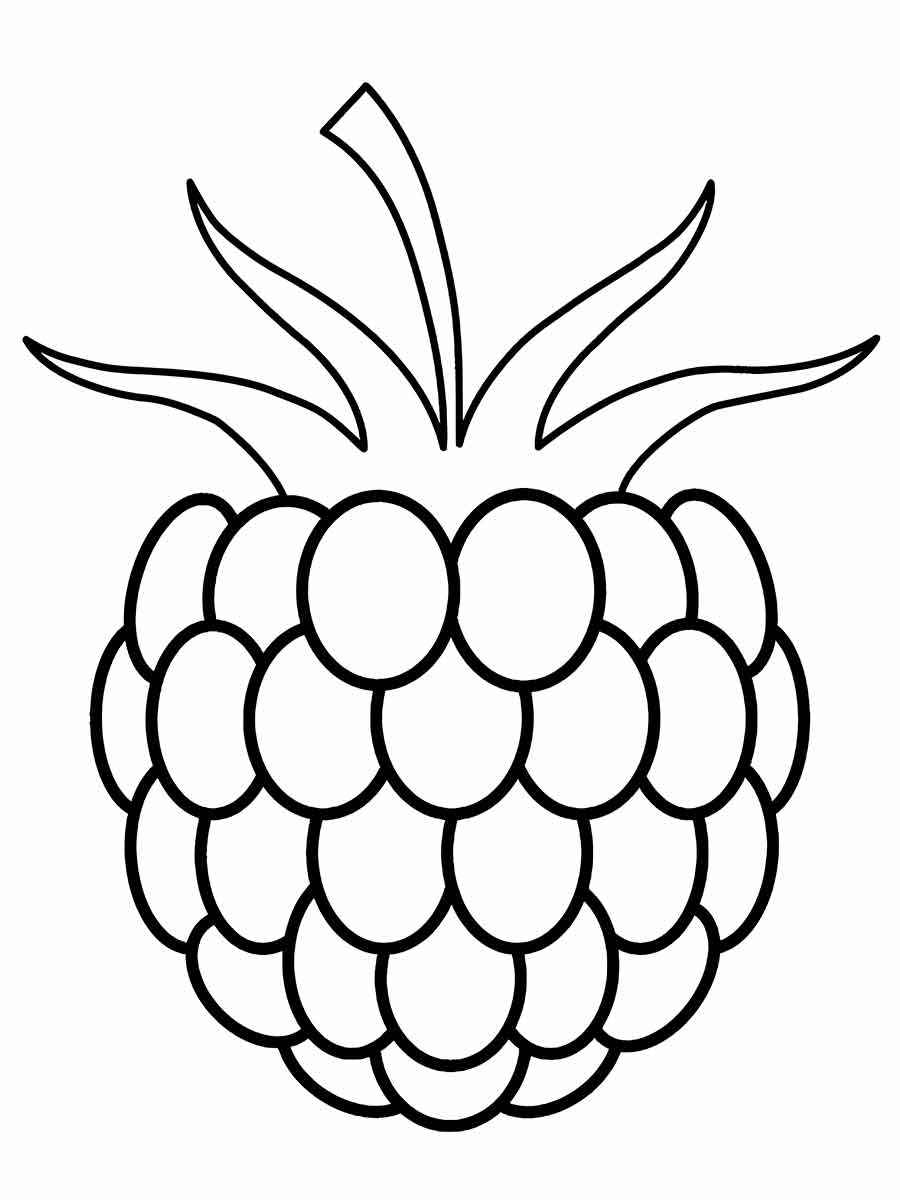 raspberry coloring page 2