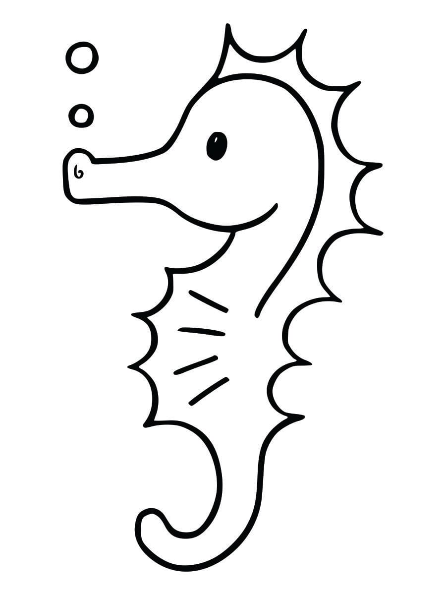 Coloring page of a seahorse for kids