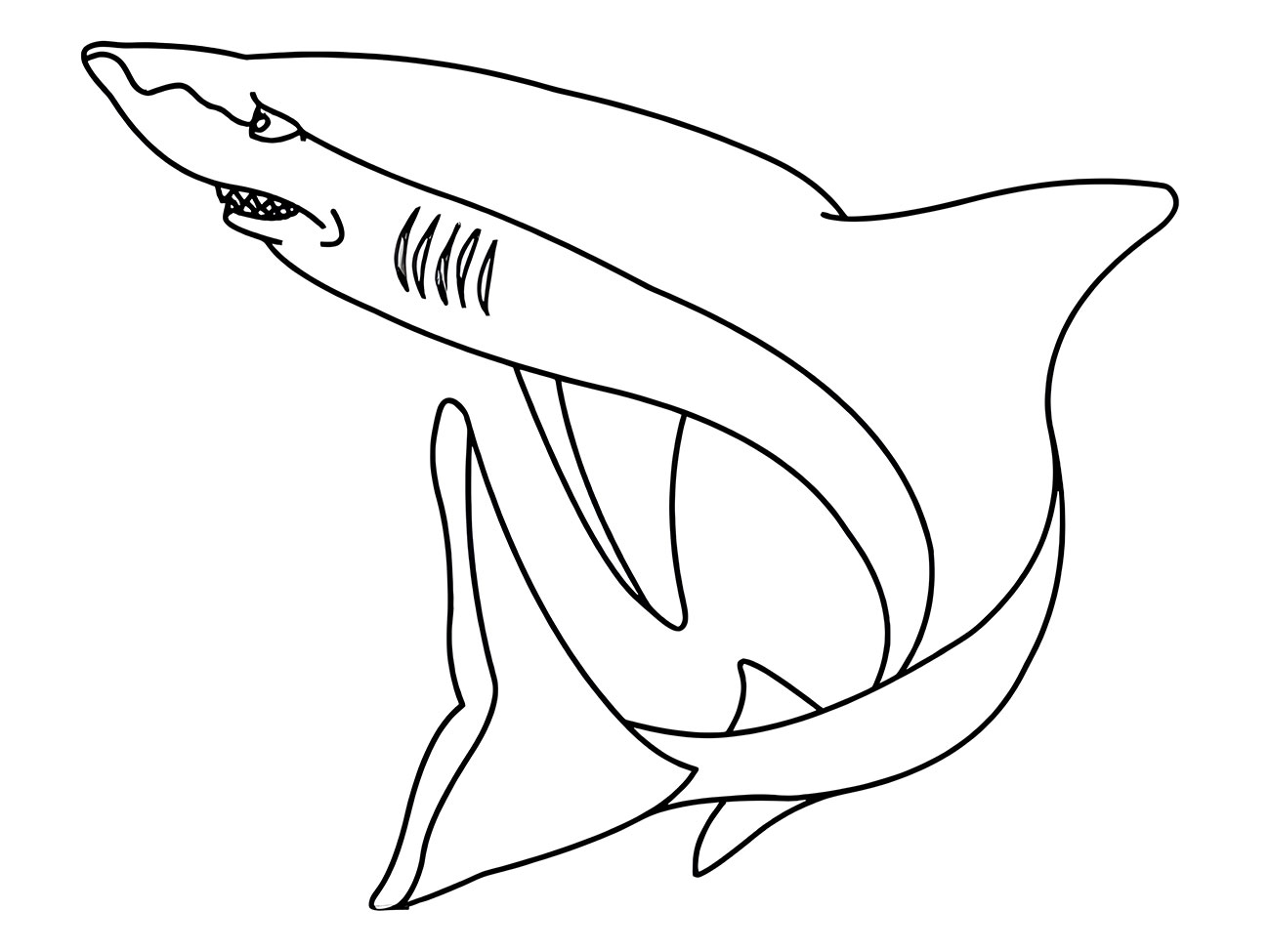 Coloring page of a shark.