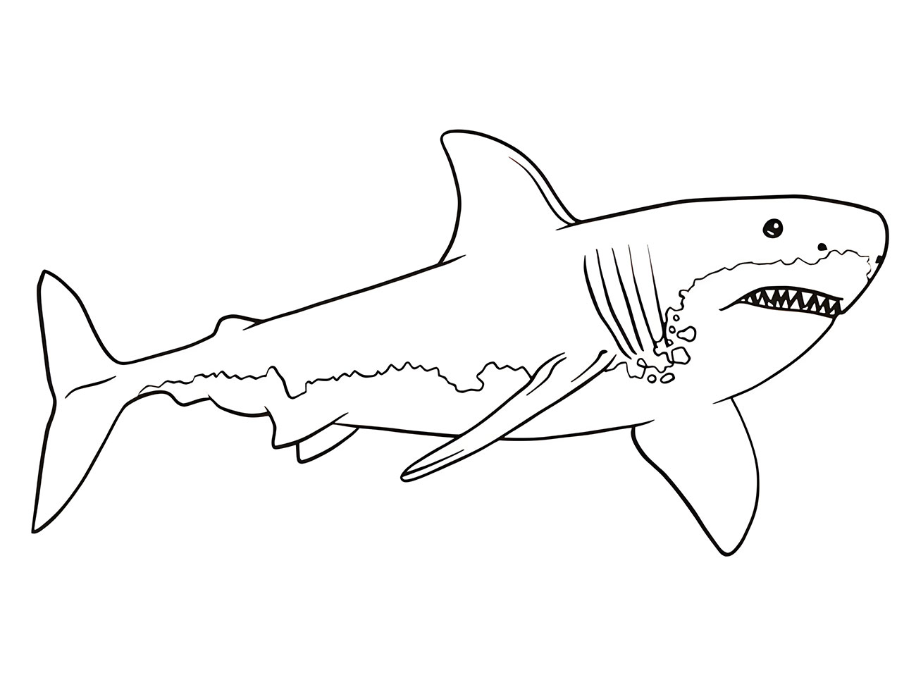 Shark Art for Kids