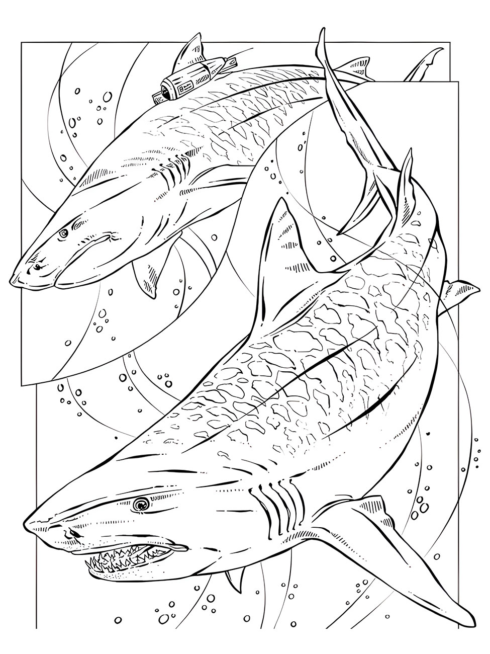 Realistic Two Sharks Coloring Page