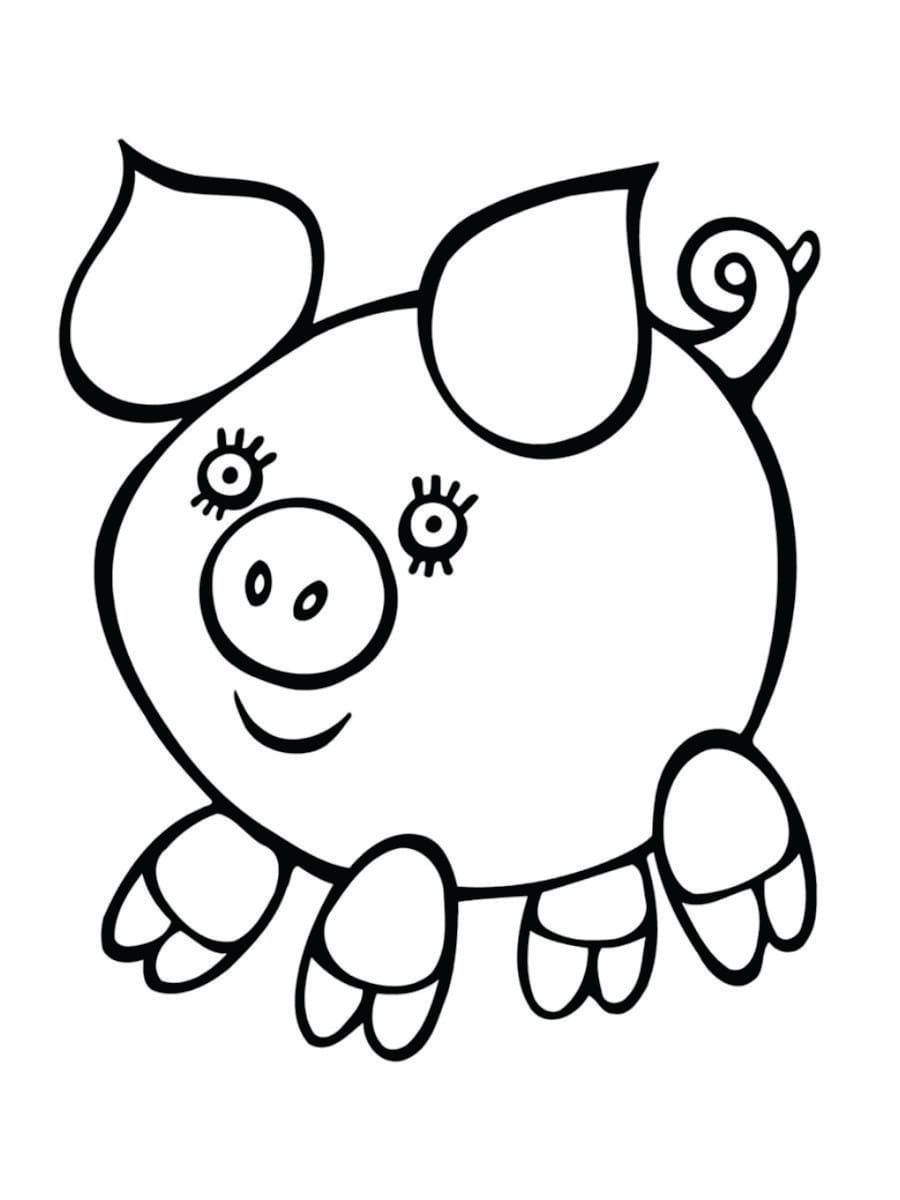 Simple coloring page of a pig