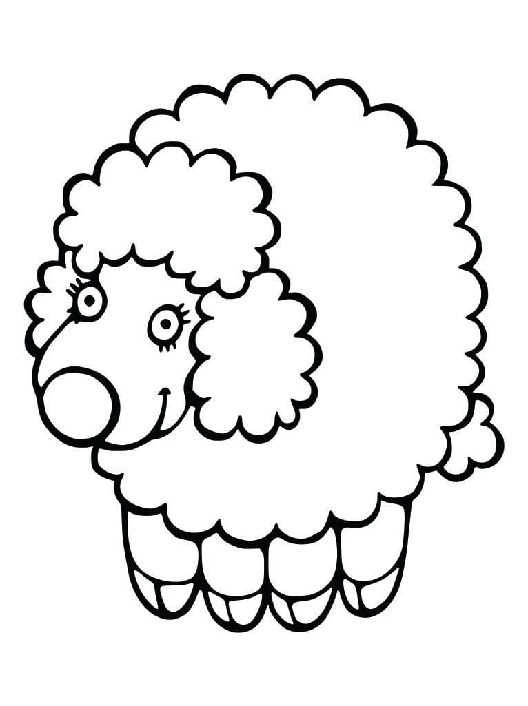 Simple coloring page of a sheep